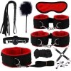 Fetish B-Series BDSM kit 6.0